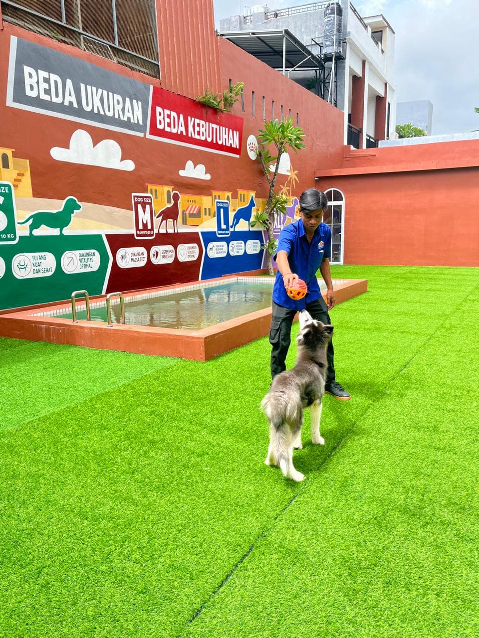 Dog Trainer