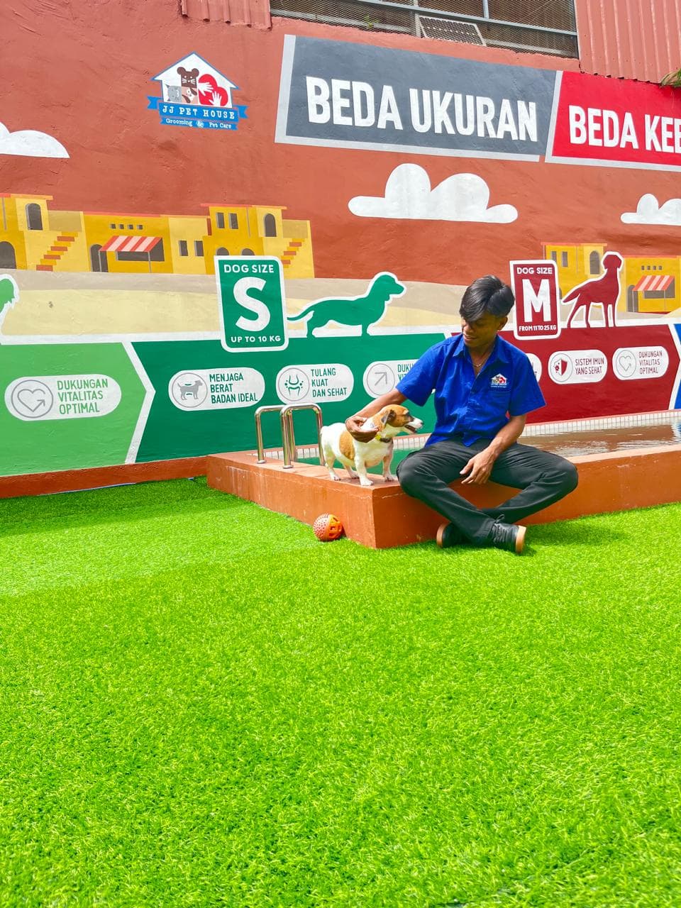Pet Playground