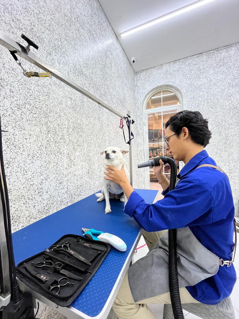 Pet Grooming